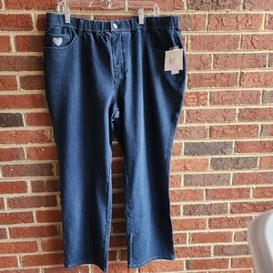 Quacker Factory 5 Pocket Dream Denim Jeannes Jeans Indigo Blue Nwt 1X Short